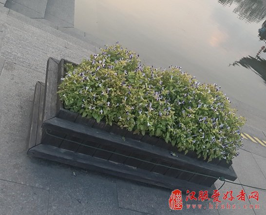 P71029-164613.jpg