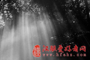 这5款APP让你的照片秒变艺术家 收藏 