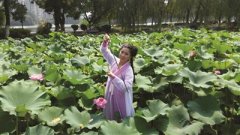 八月来莫愁湖荷花池看“花千骨” 征集市民古装模仿拍写真(图)