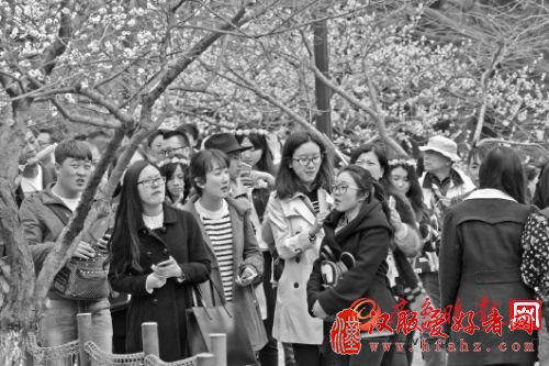 在为期三天的清明小长假里，省内旅游市场呈现出一些鲜明特点，老牌著名景区在多种因素作用下，出现了游客量缩水的情形，而更多的新景区、免费景区、新兴业态以及乡村游景区则迎来了一个火爆的小长假。采访中，记者明显感到，清明节有越来越“五一化”的趋向。