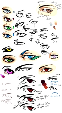 画画教程技巧+-+-+白_bai.com
