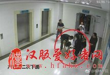 产妇两次给家属下跪要求剖宫产被拒跳楼
9月6日凌晨,陕西省榆林市第一医院通过其官方微博发布消息,对倍受社会关注的“8.31产妇跳楼事件”再次作出说明,此次说明中,榆林一院公布视频截图,显示产妇两次向其家属下跪要求剖腹产,均遭到拒绝。【详细】
社会热图
