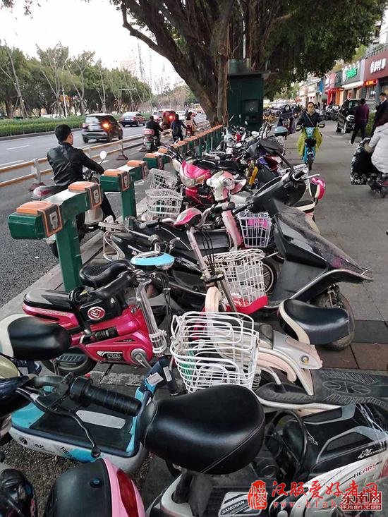 有的公共自行车站点已经成了电动车停放点。