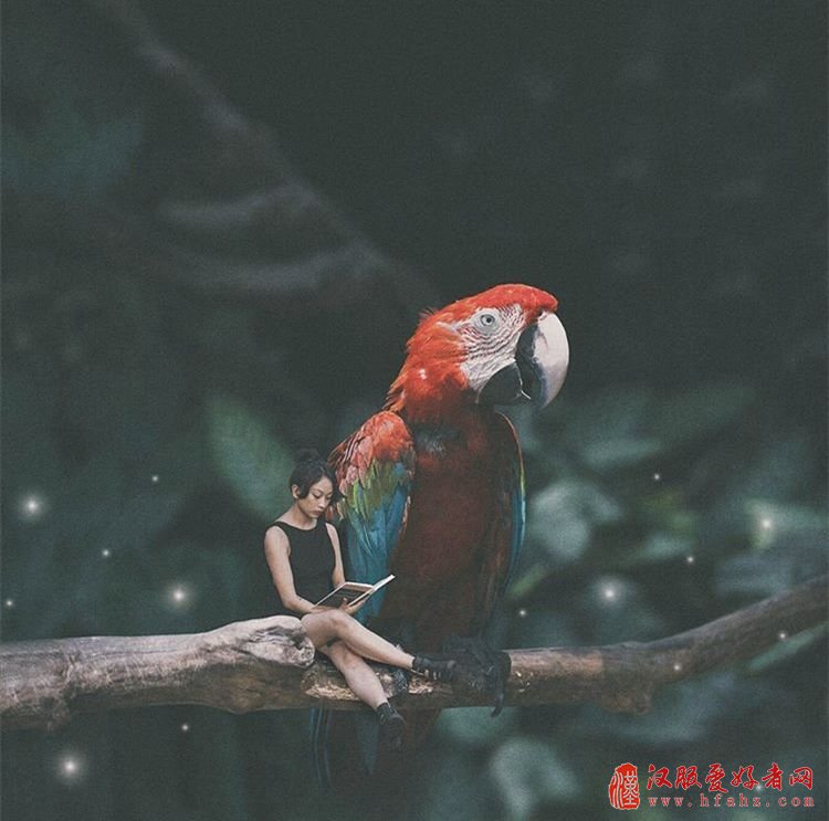 你们对摄影后期的力量一无所知！