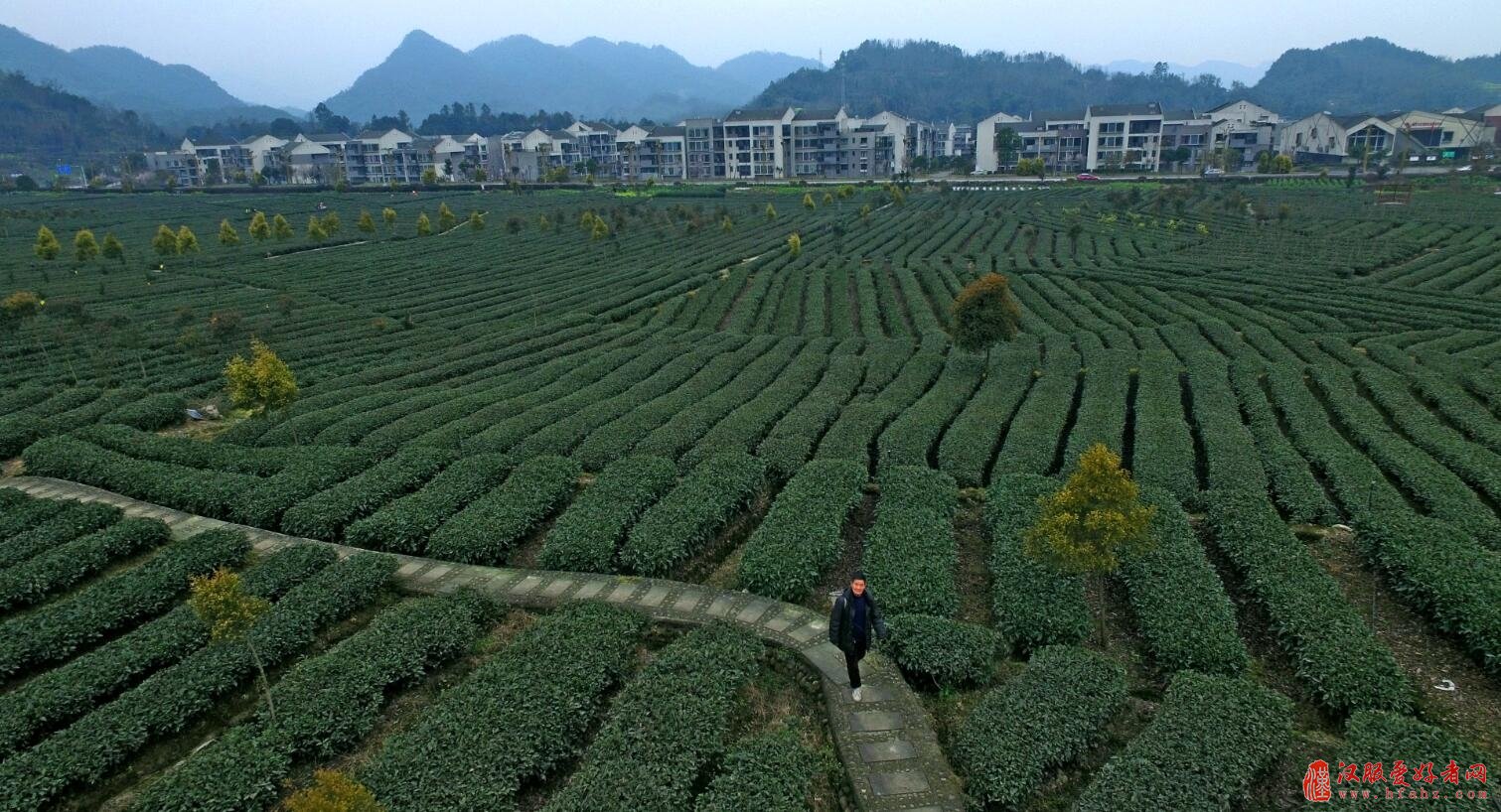 寻找邛茶走廊最美拍摄点，网络摄影大奖等你来拿