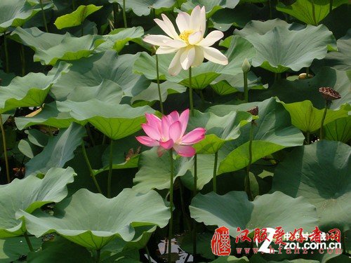 10月长假旅游 在线PS处理照片立等可取