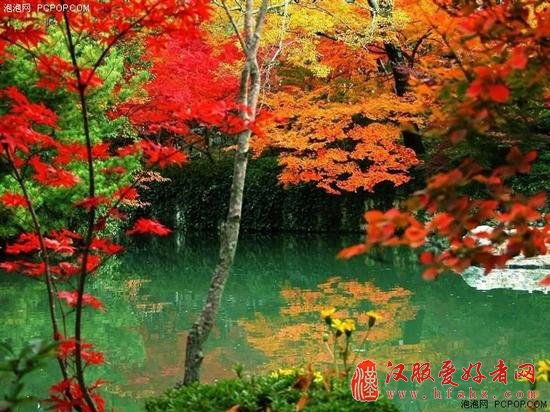 怎么拍去哪拍 秋叶拍摄技巧与景点推荐