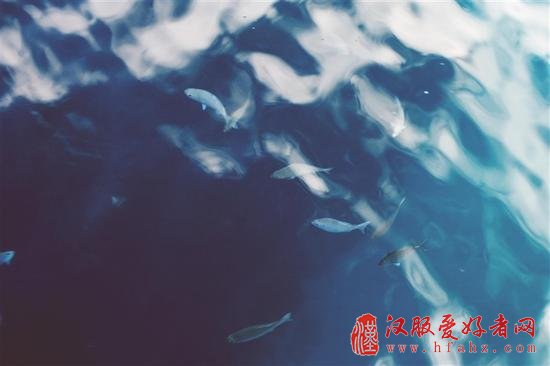 小白学摄影：清凉一夏的海边拍摄技巧