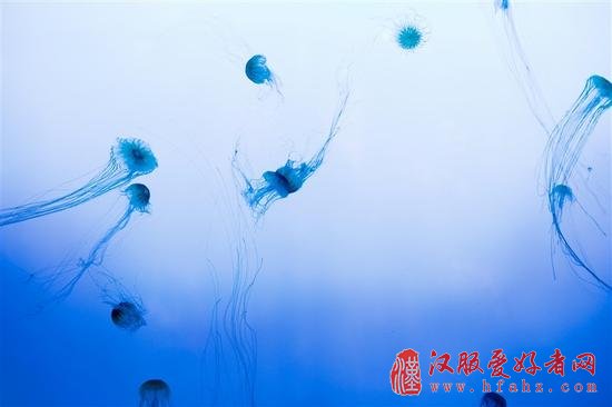 小白学摄影：清凉一夏的海边拍摄技巧