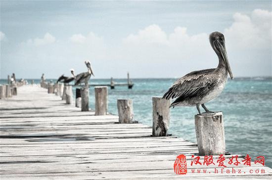 小白学摄影：清凉一夏的海边拍摄技巧