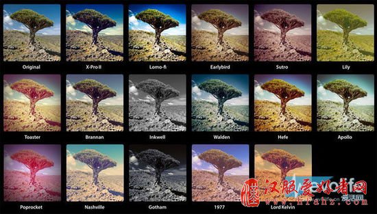 【爱活摄影课】掌握下面这三个手机照片处理技巧 你也能成为大师