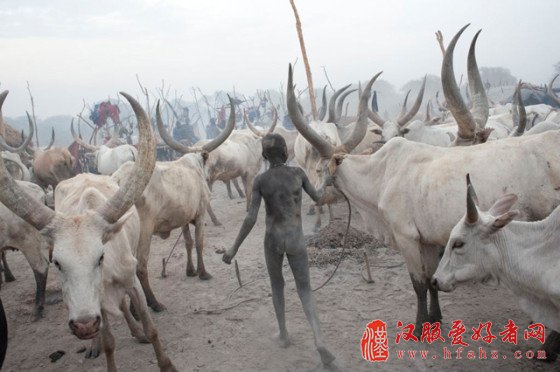 评论：数码后期及真实与美学之间的边界