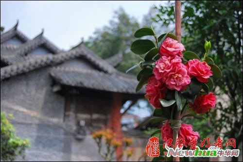 简单易上手的摄影后期软件 一招搞定好照片