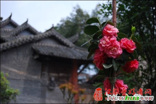 简单易上手的摄影后期软件 一招搞定好照片