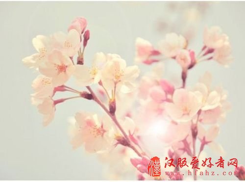 图11