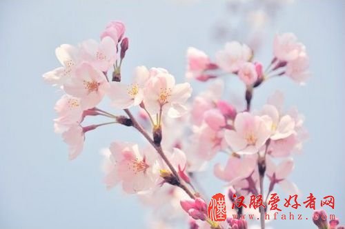 图06