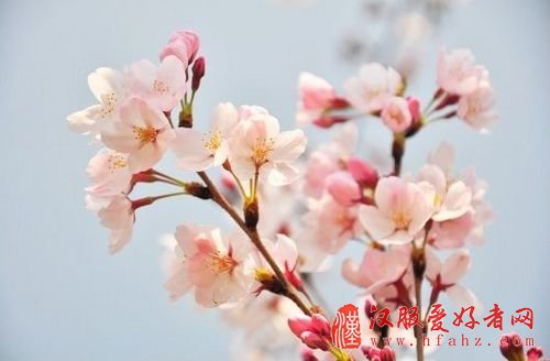 图03