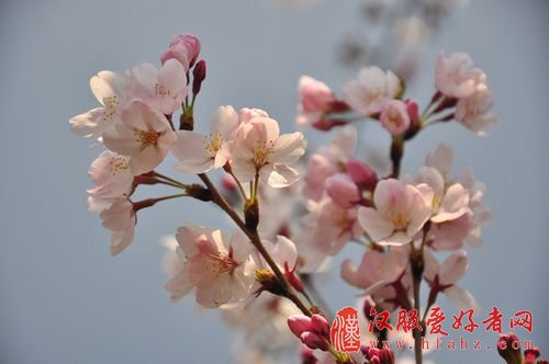 图01