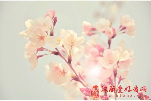 图00