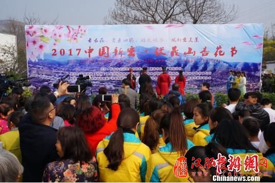 河南新密万亩野杏花怒放 古装爱好者盛装宣传传统文化(组图