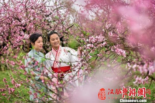 桃花丛中，身着古装的女子结伴赏花。　通讯员 欧阳常海 摄