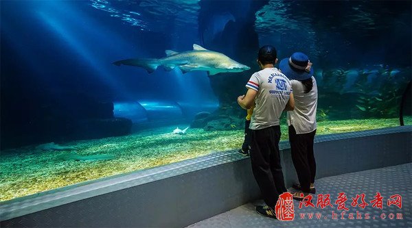 【摄影心得】海洋馆拍摄技巧
