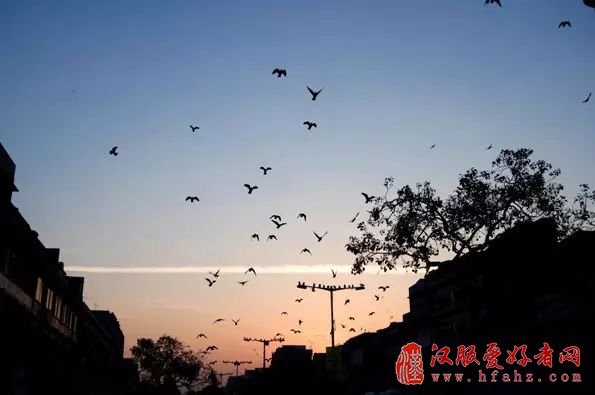 摄影大师给的11个建议，超级实用