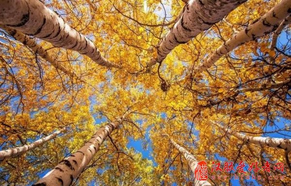 各大古装剧的外景拍摄基地都在这儿，你还认得吗？