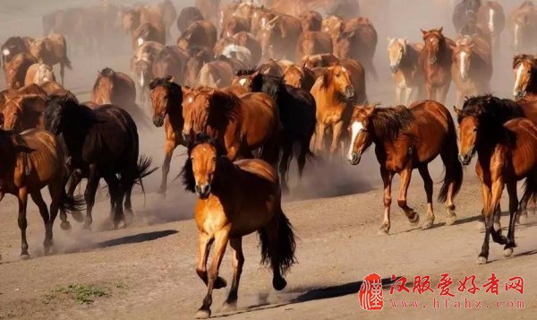 各大古装剧的外景拍摄基地都在这儿，你还认得吗？