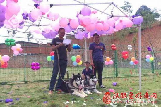 民众为狗办婚礼 网友：余下“狗生“请多指教