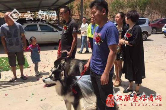民众为狗办婚礼 网友：余下“狗生“请多指教