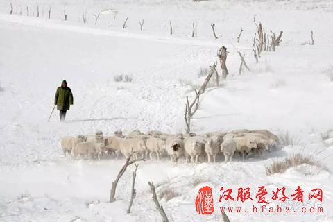 2015年你在摄影笔记学了什么 2016年你还能在摄影