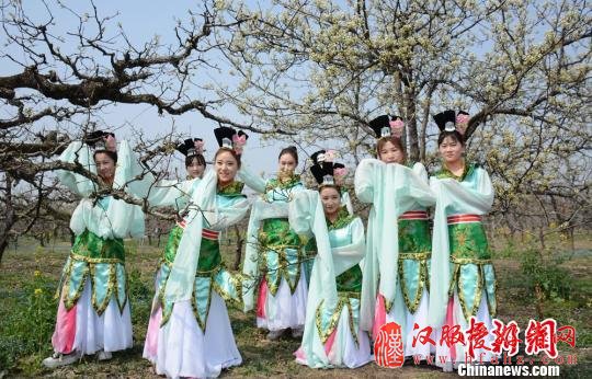 汉服美女结伴赏花，上演梨花颂。　朱志庚　摄