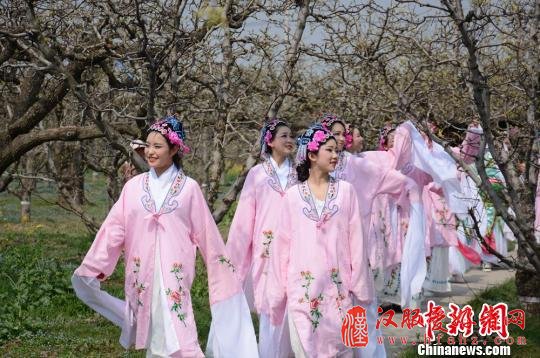众古装美女穿越秀，上演百年梨园“梨花颂”。　朱志庚　摄