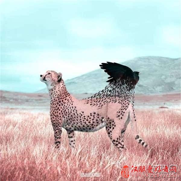 你那顶多算美图秀秀！来看看PS大触创造的超现实风作品