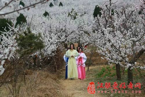 “豫”见“杏”运二月二龙抬头芒砀山上有看头
