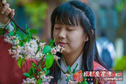 成都七中万达学校花朝节 