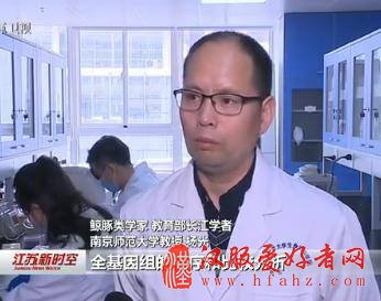 南京师大教授最新研究成果：长江江豚是独立物