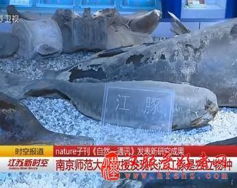 南京师大教授最新研究成果：长江江豚是独立物