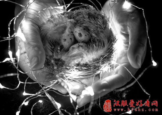 静物摄影的拍前准备 5个提升静物摄影的小技巧