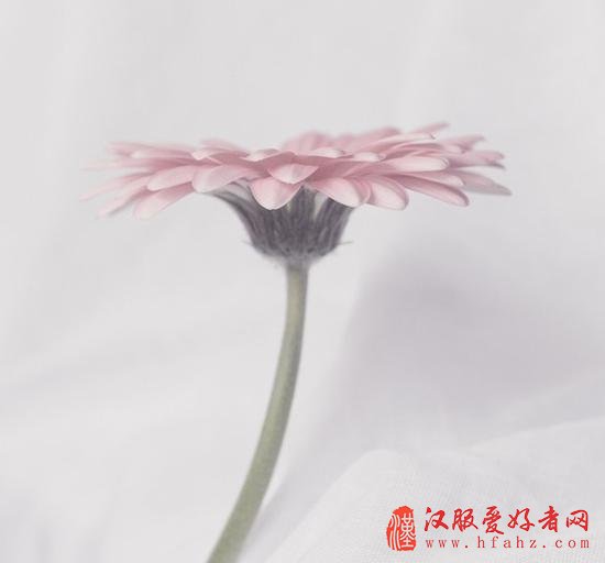 静物摄影的拍前准备 5个提升静物摄影的小技巧