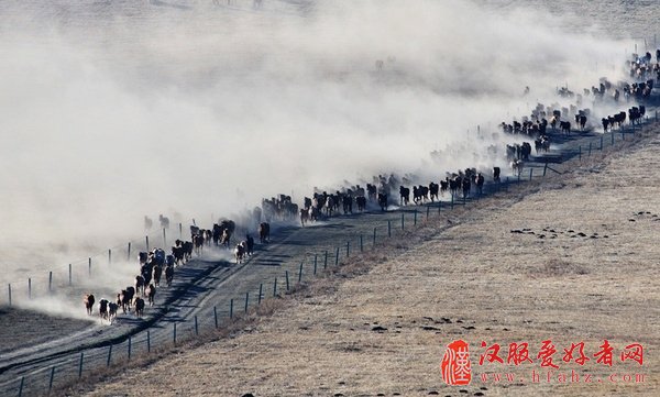 iPhone拍照构图、摄影及后期技巧