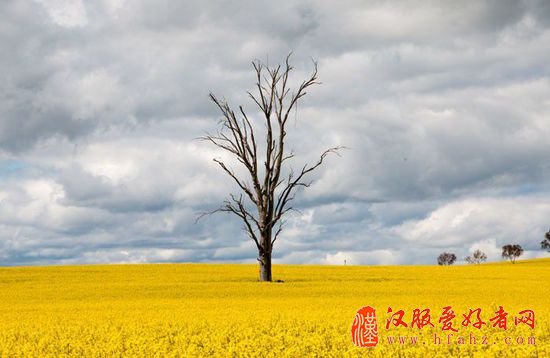 高能PS达人 普通照片一秒变身电影海报