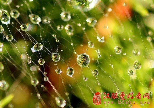 让阴雨天摄影图片更有感觉的拍摄技巧