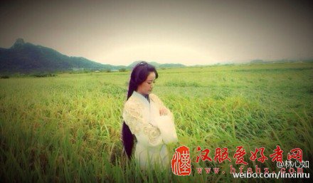 林心如晒麦田古装照 网友:收稻子去么(组图)