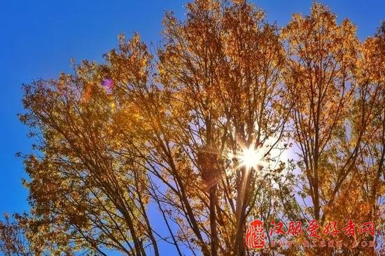 如何拍出透亮的逆光照片 从前期到后期详细技巧
