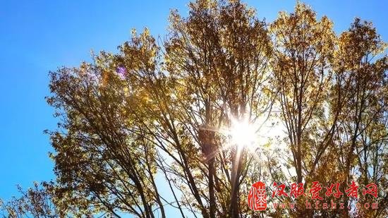 如何拍出透亮的逆光照片 从前期到后期详细技巧