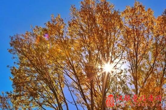 如何拍出透亮的逆光照片 从前期到后期详细技巧