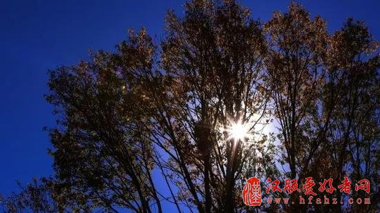 如何拍出透亮的逆光照片 从前期到后期详细技巧