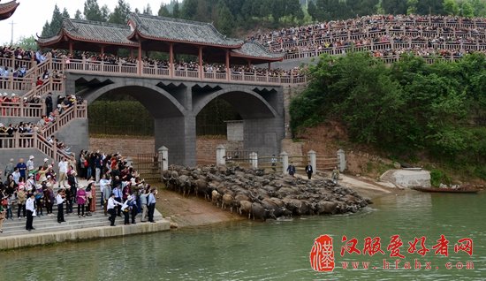 4月28日相约蓬安 观“百牛渡江” 赏“高空特技”